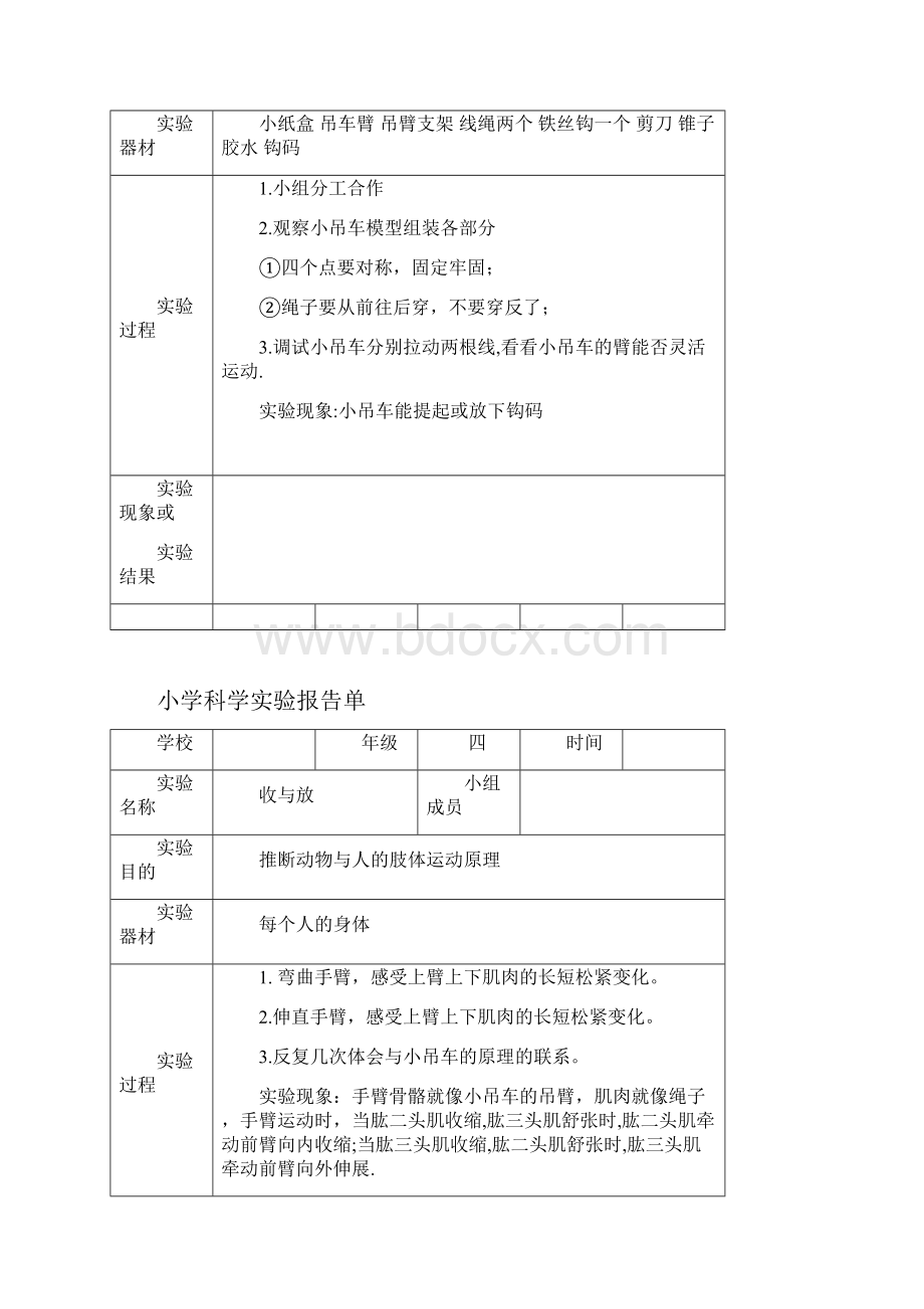 冀教版小学四年级上册科学实验报告单Word文档格式.docx_第2页