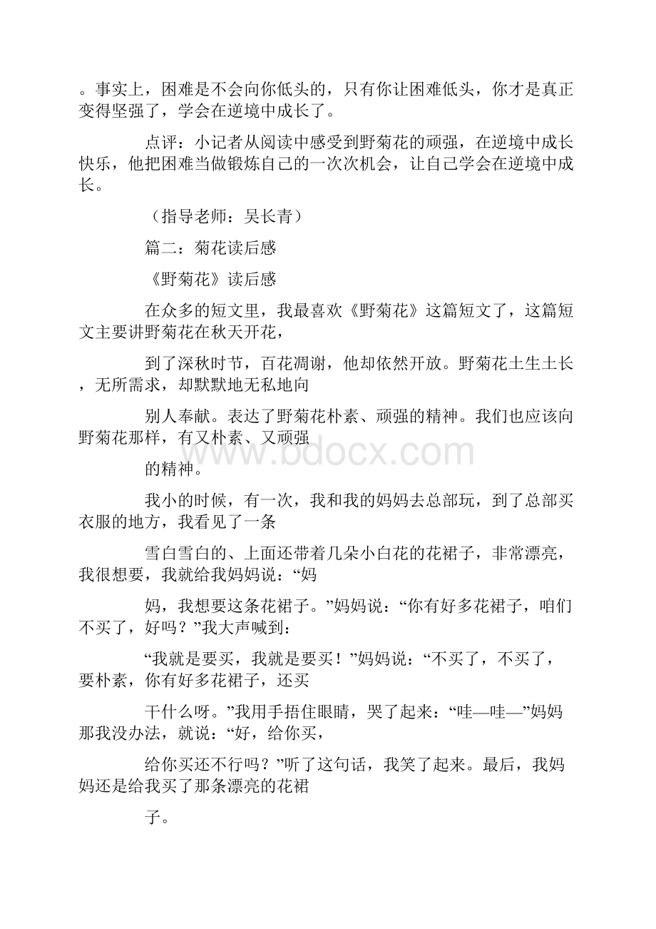 野菊花读后感Word文档下载推荐.docx_第2页