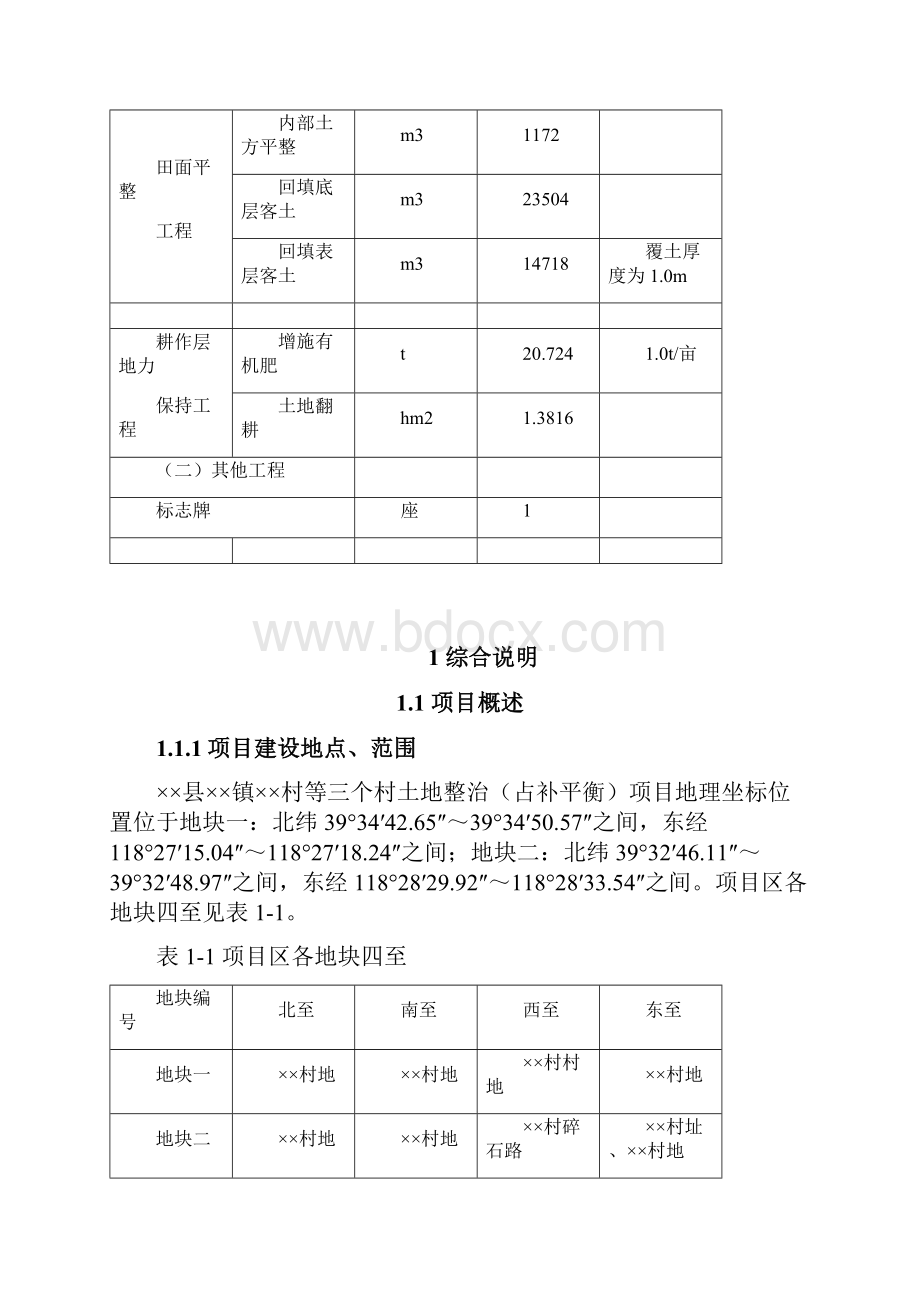 土地整治占补平衡项目设计报告模板.docx_第3页