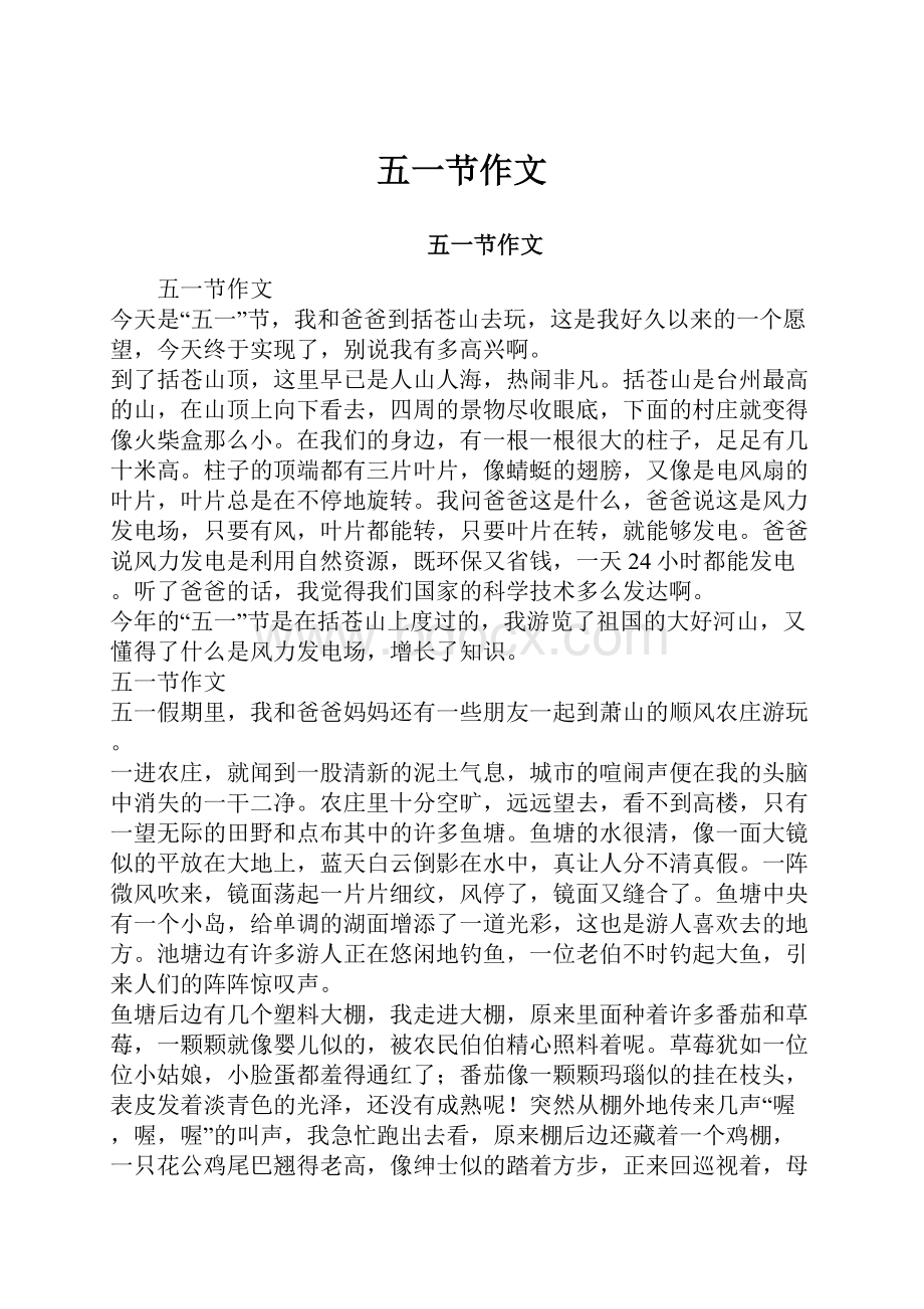 五一节作文Word文件下载.docx