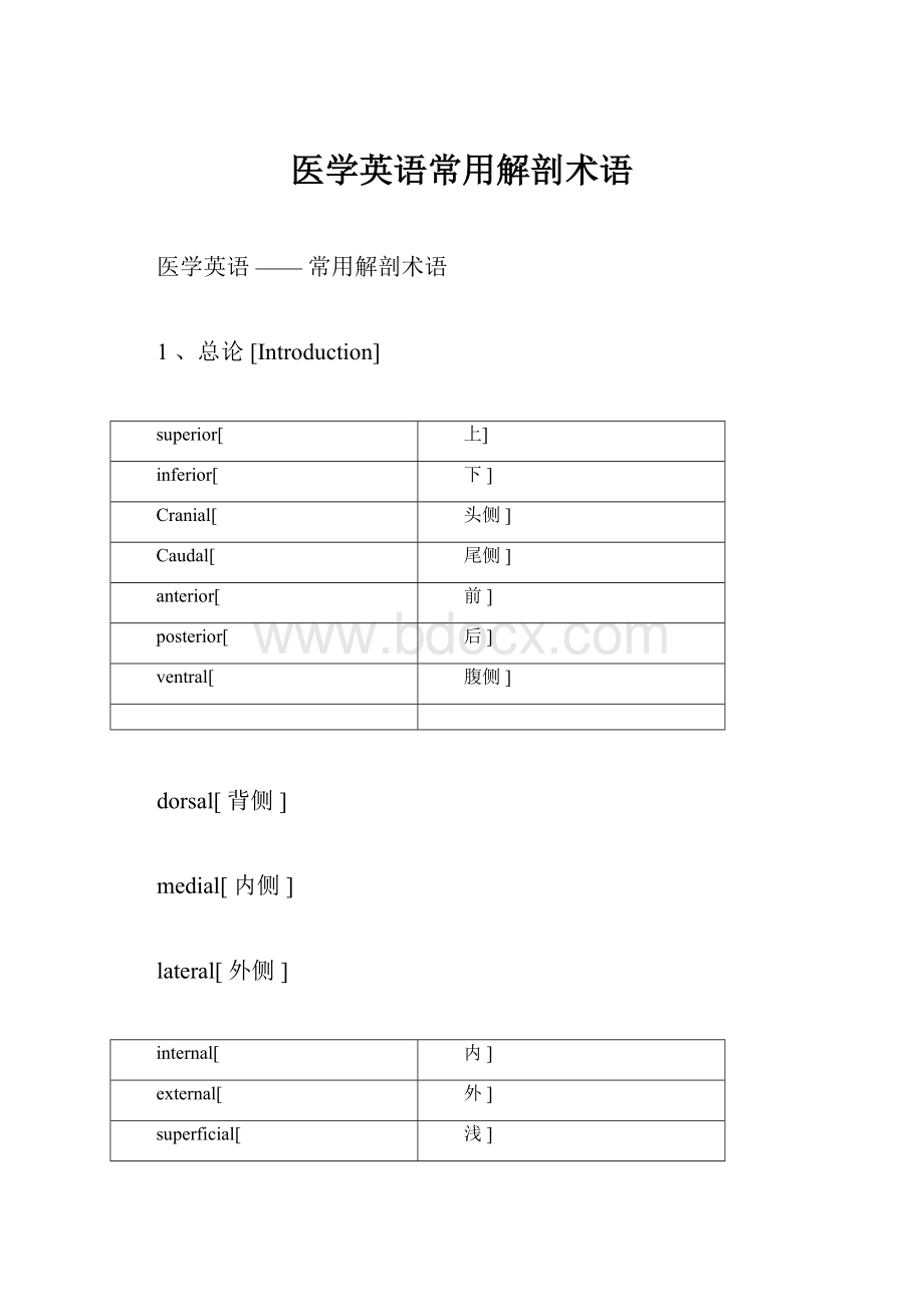 医学英语常用解剖术语Word格式.docx_第1页