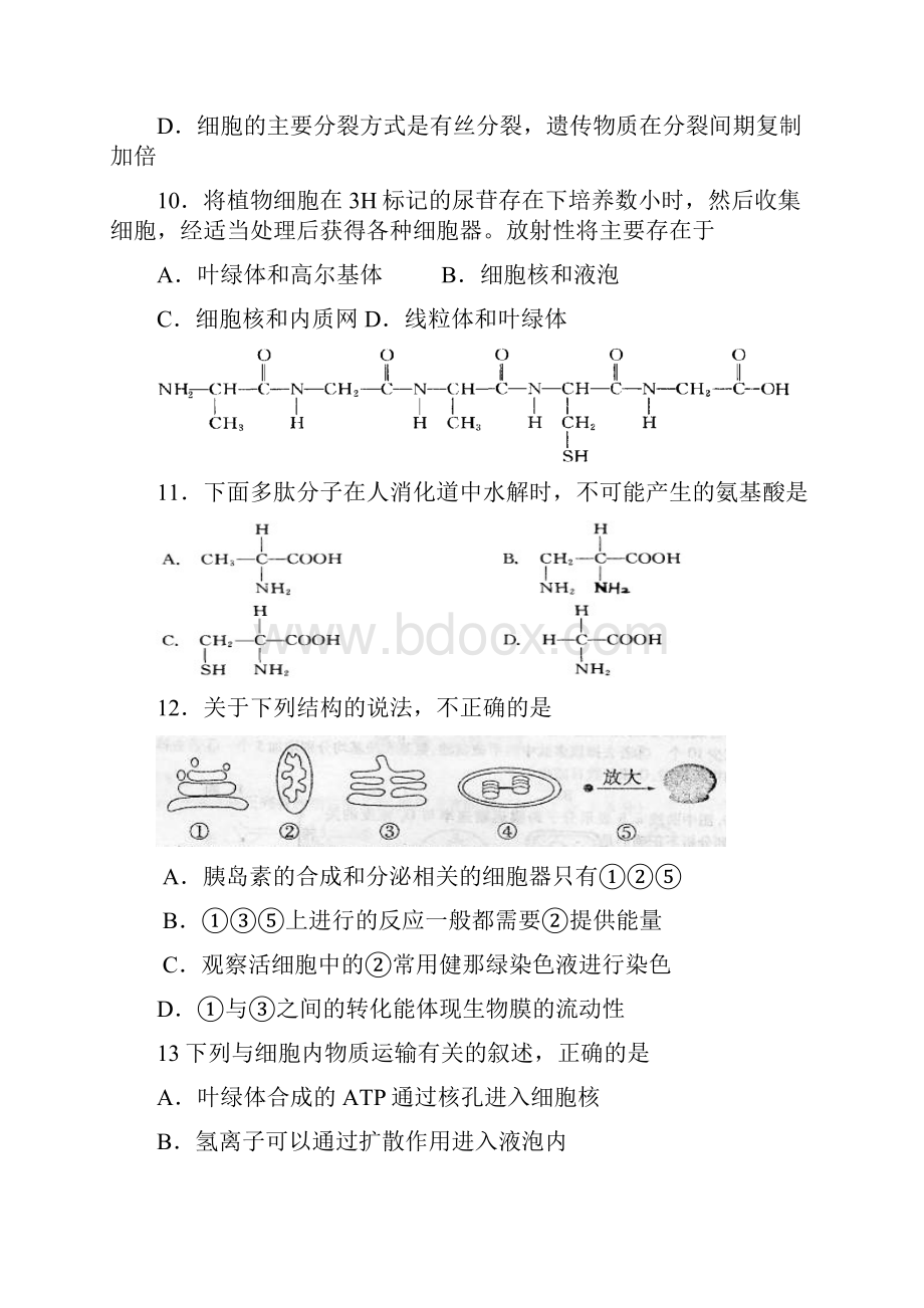 高三6考试题生物必修一文档格式.docx_第3页