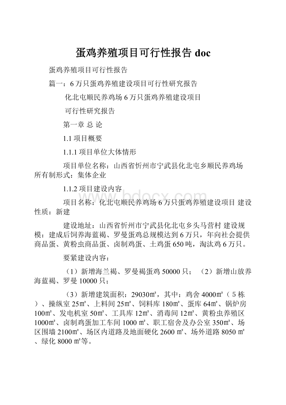 蛋鸡养殖项目可行性报告doc.docx