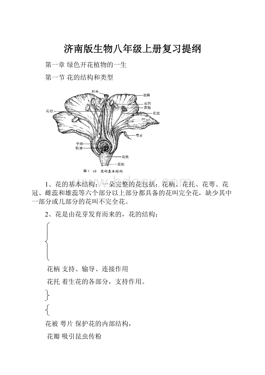 济南版生物八年级上册复习提纲.docx