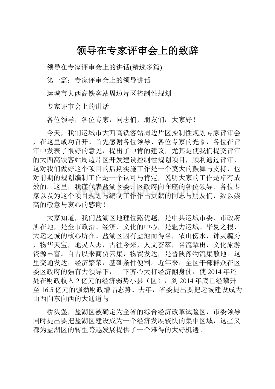 领导在专家评审会上的致辞Word文档格式.docx