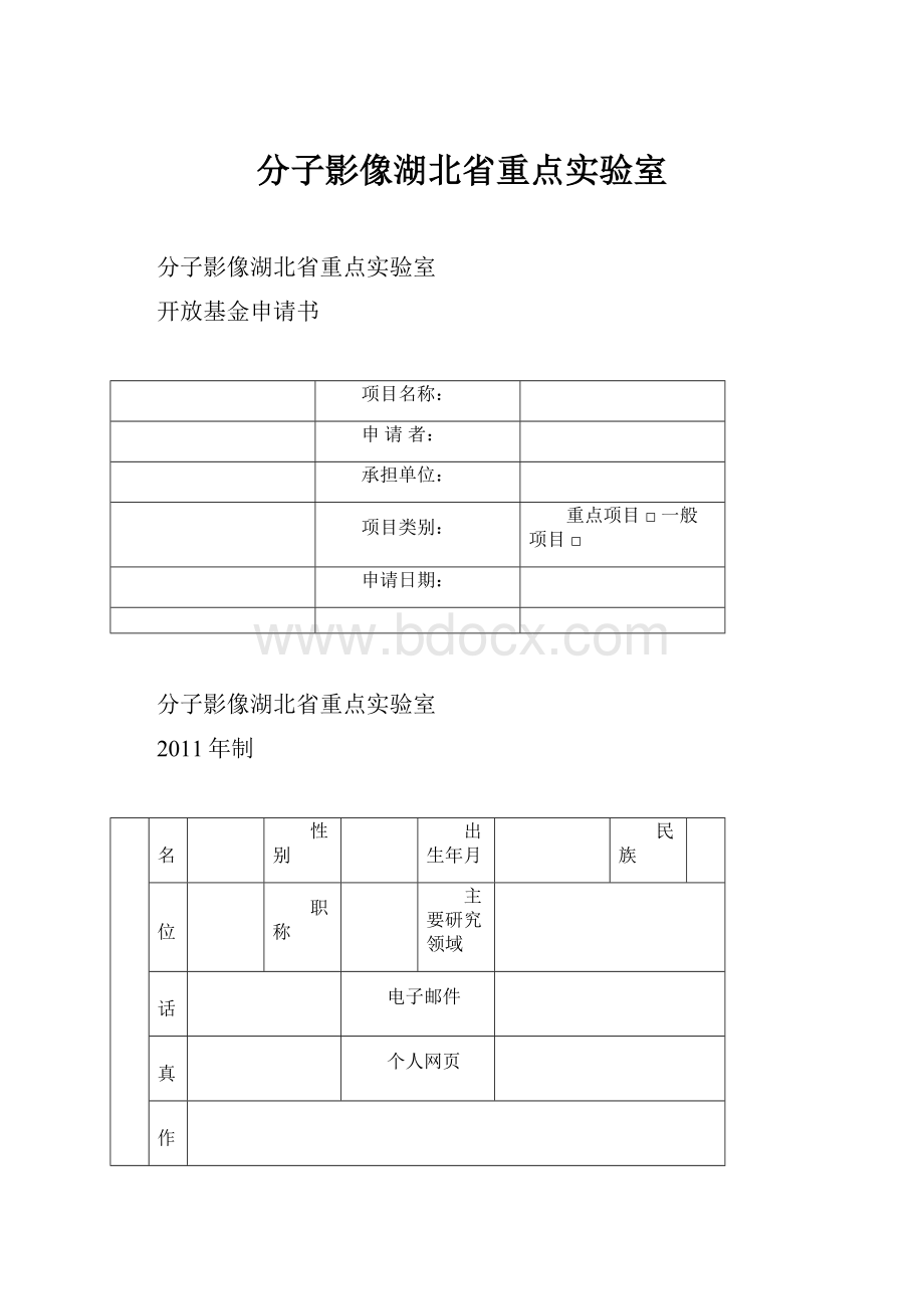 分子影像湖北省重点实验室Word格式.docx