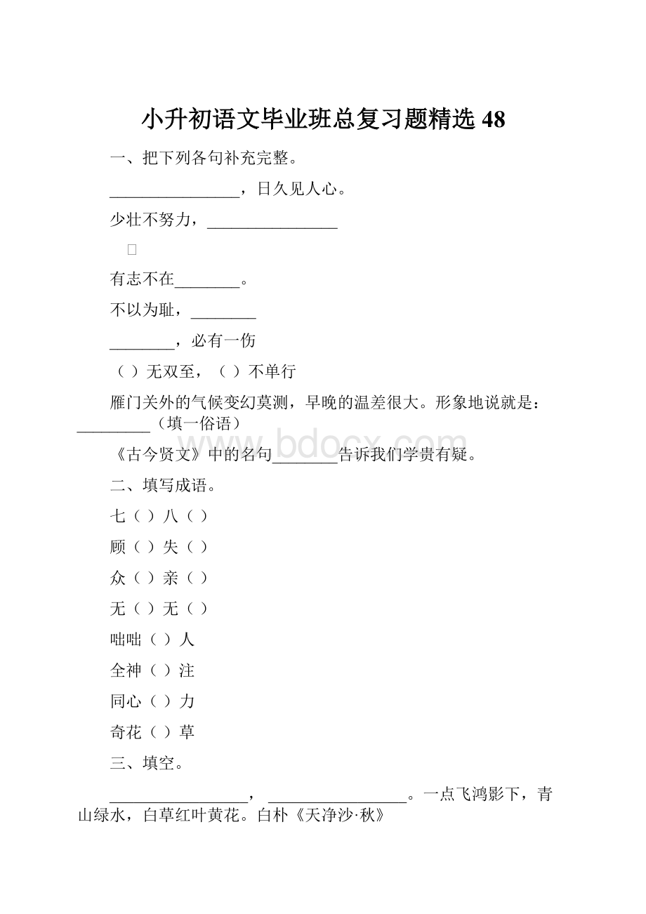 小升初语文毕业班总复习题精选48Word格式文档下载.docx