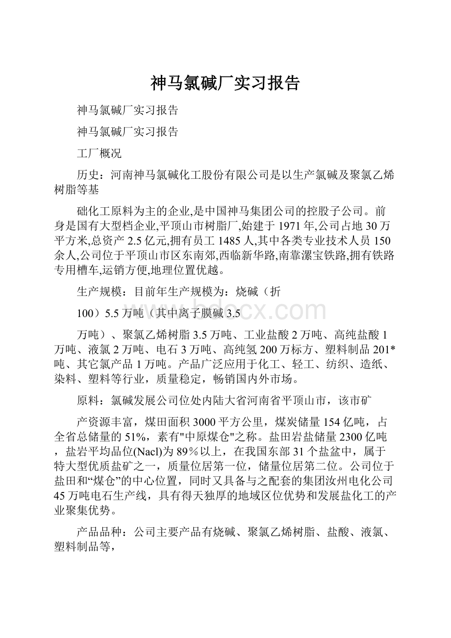 神马氯碱厂实习报告Word文档格式.docx