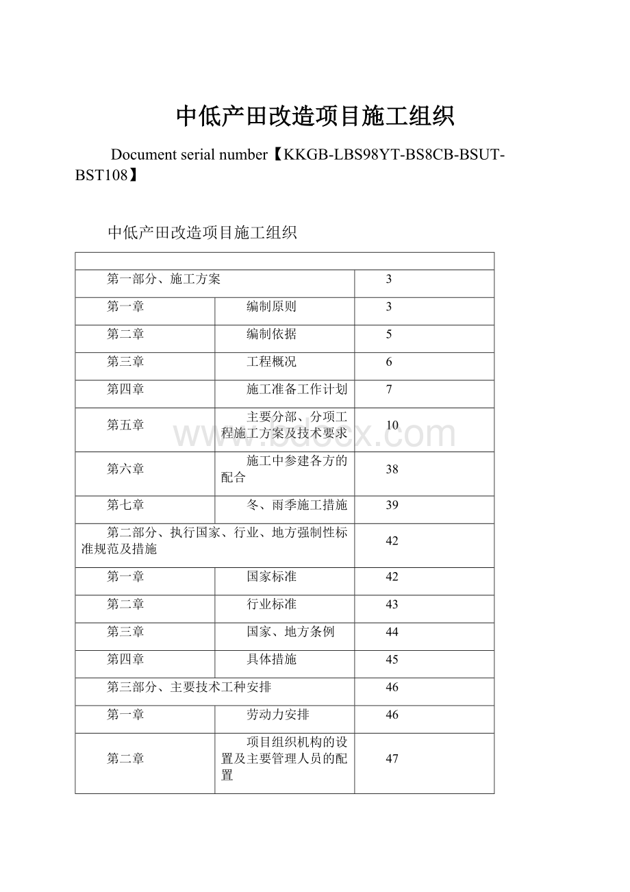 中低产田改造项目施工组织.docx