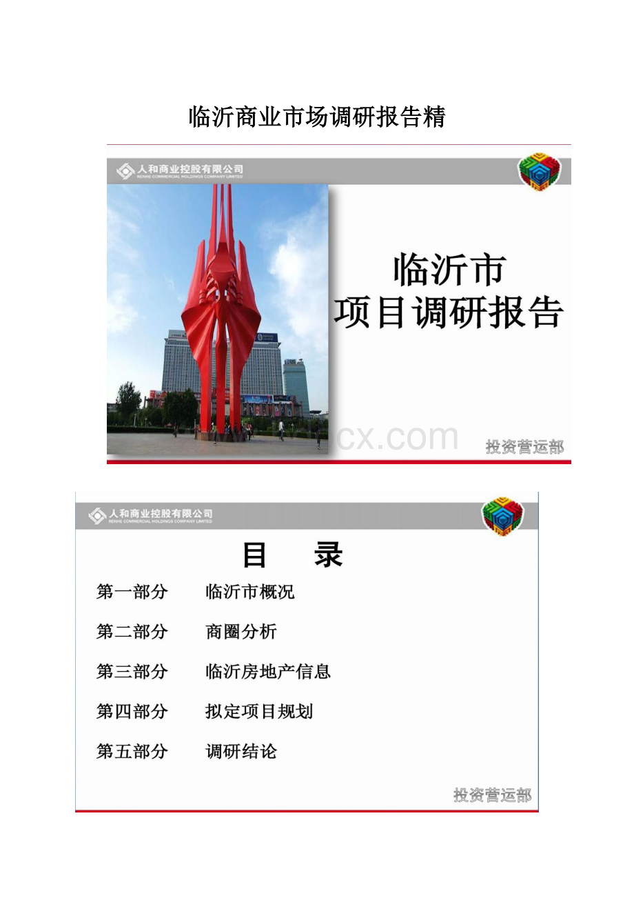 临沂商业市场调研报告精.docx_第1页