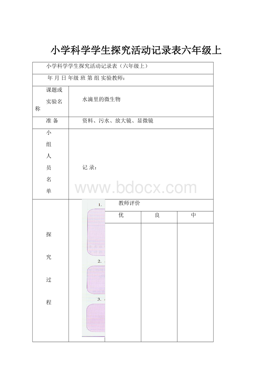 小学科学学生探究活动记录表六年级上.docx