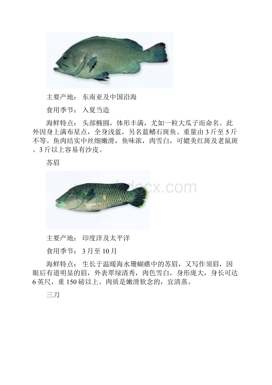 常见海鲜海鱼欣赏Word下载.docx_第2页