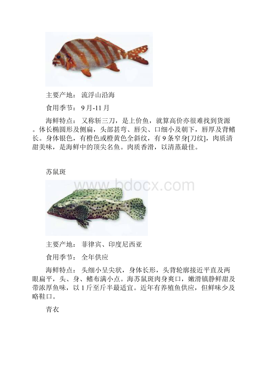 常见海鲜海鱼欣赏Word下载.docx_第3页