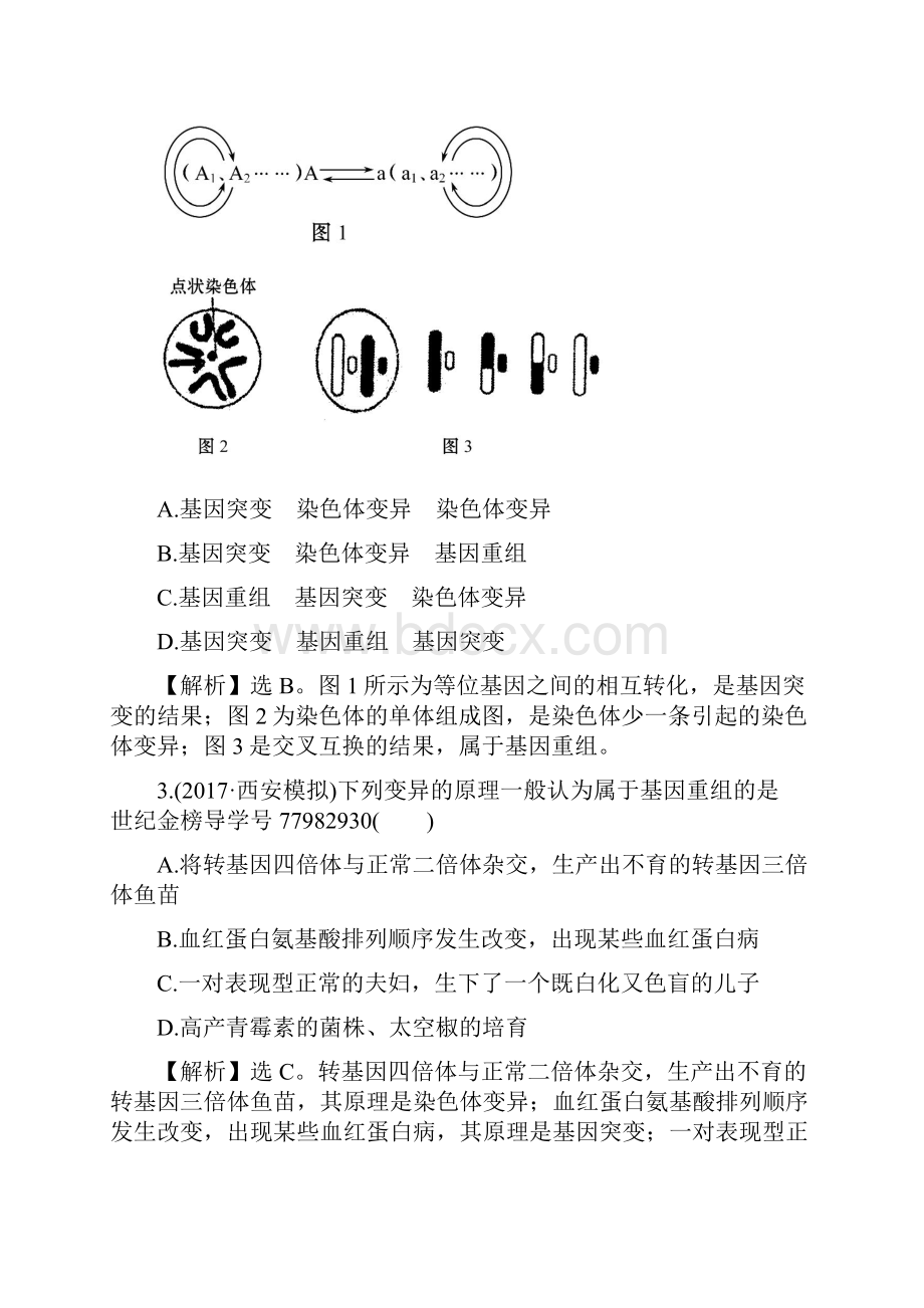 高中生物届世纪金榜教师用书配套练习阶段评估检测四.docx_第2页