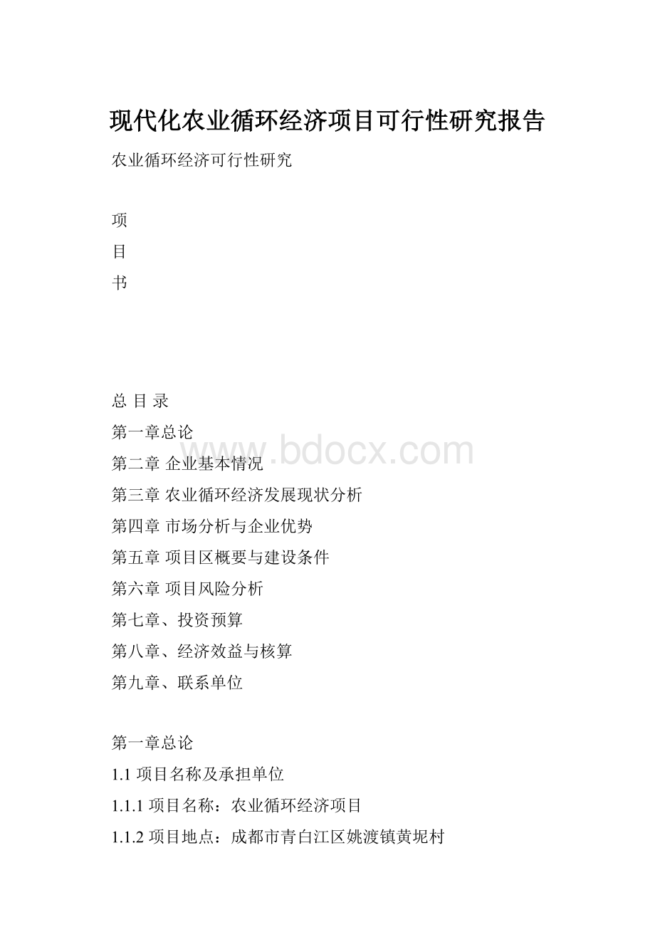 现代化农业循环经济项目可行性研究报告Word格式.docx_第1页