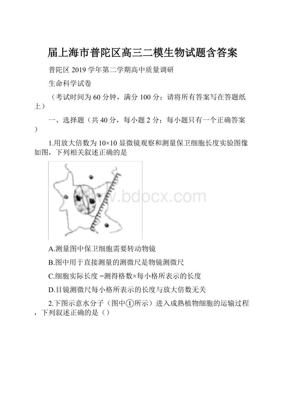 届上海市普陀区高三二模生物试题含答案.docx_第1页