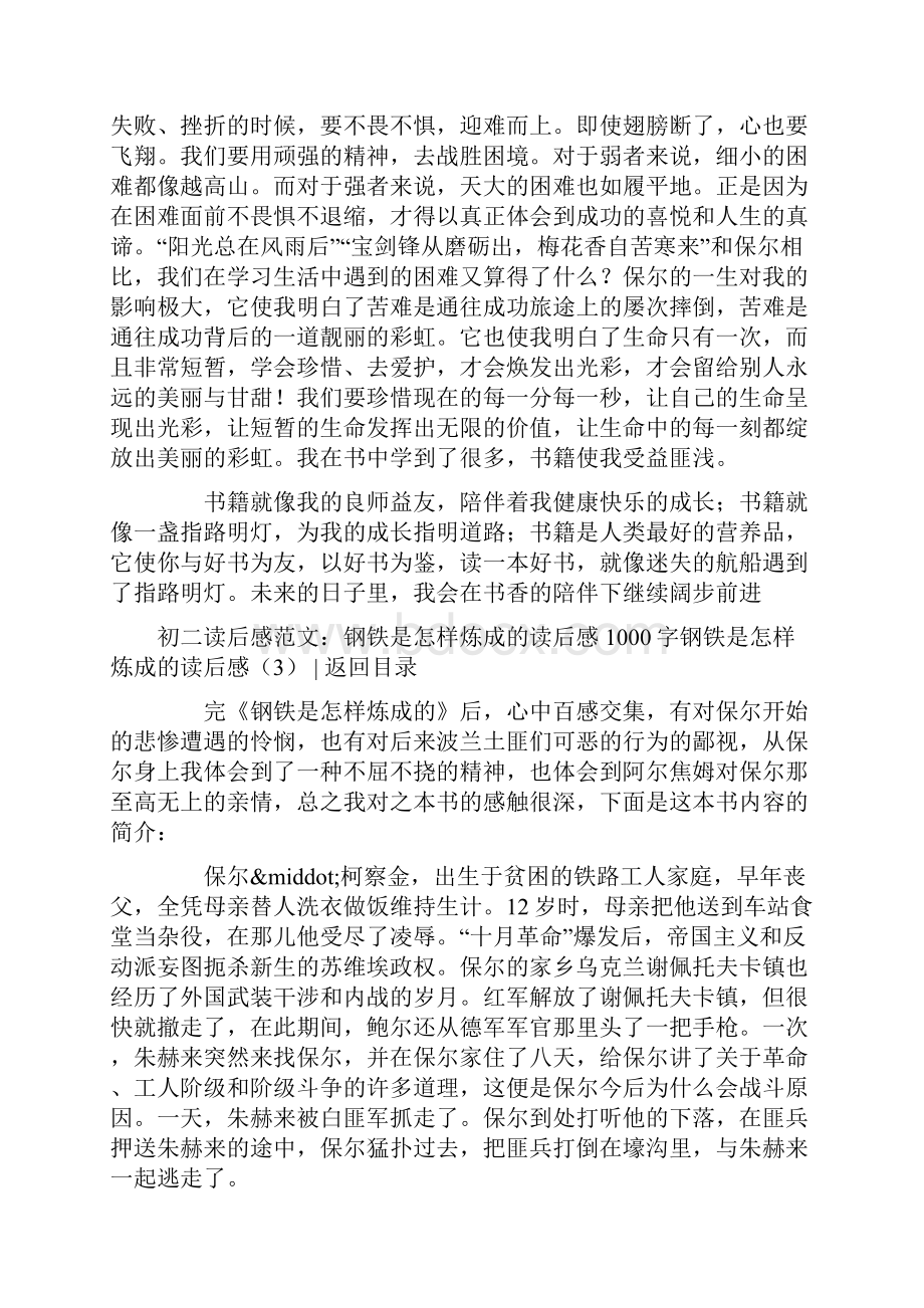 钢铁是怎样炼成的读后感共9篇.docx_第3页