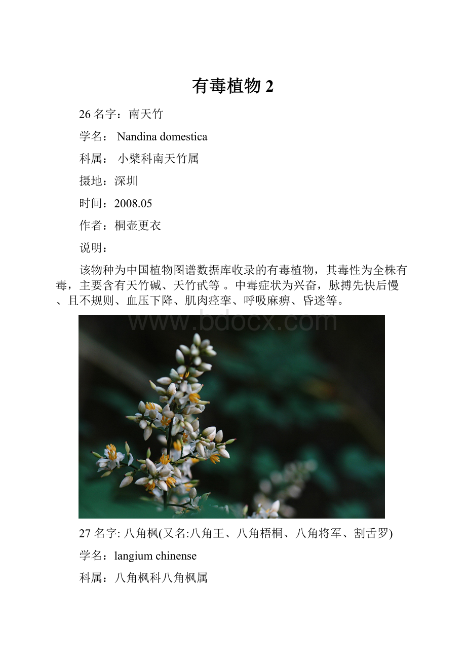 有毒植物2.docx