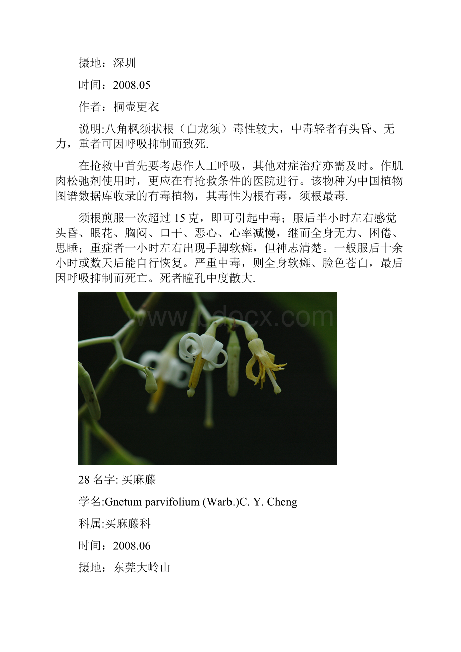 有毒植物2.docx_第2页