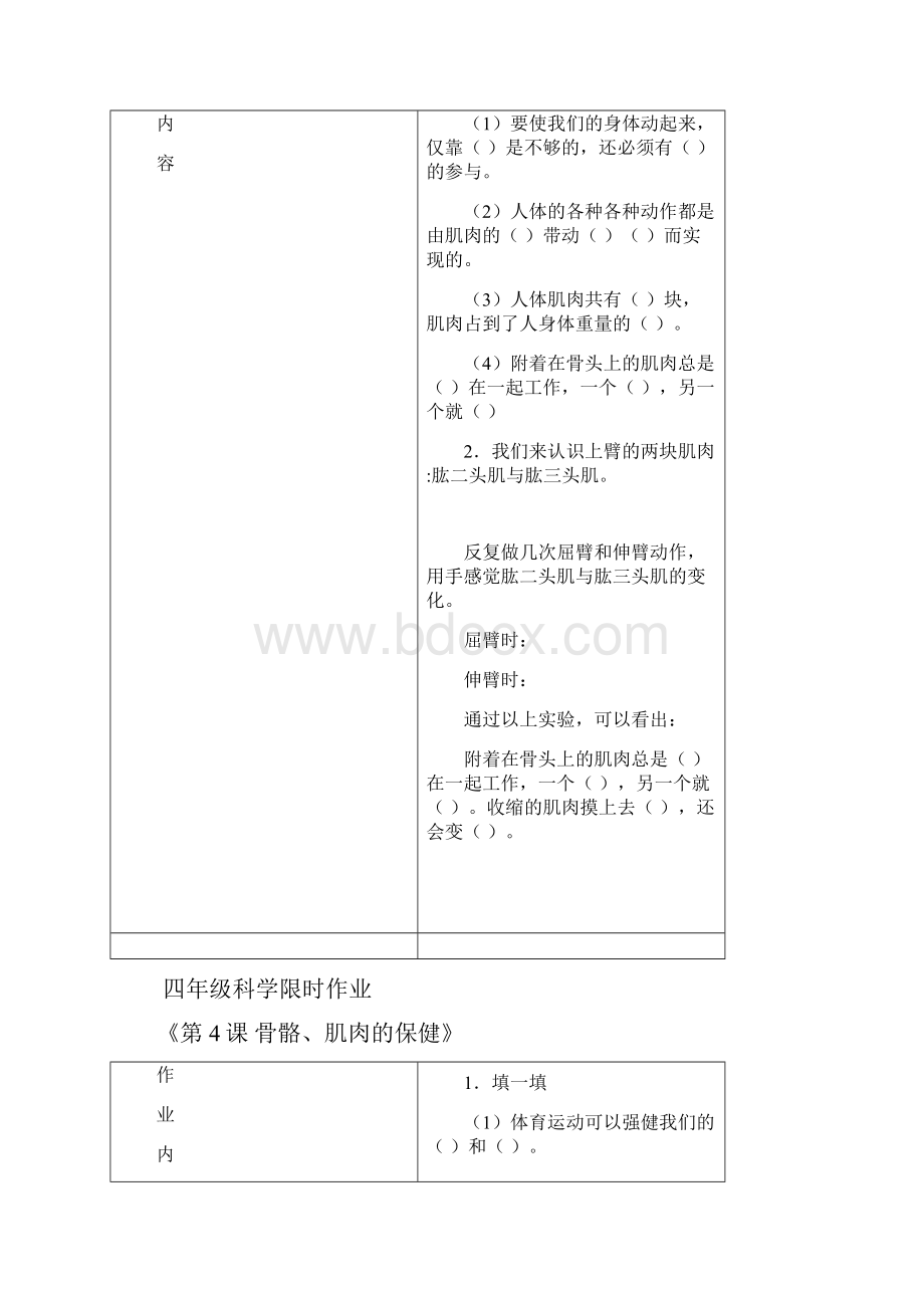 四年级科学下册限时作业设计.docx_第3页