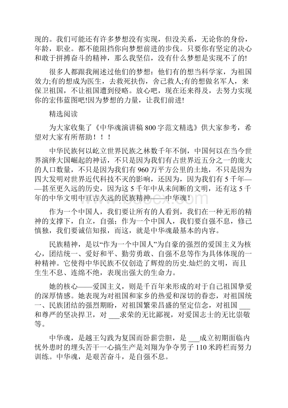 中华魂辉煌与梦想演讲稿800字Word格式文档下载.docx_第3页