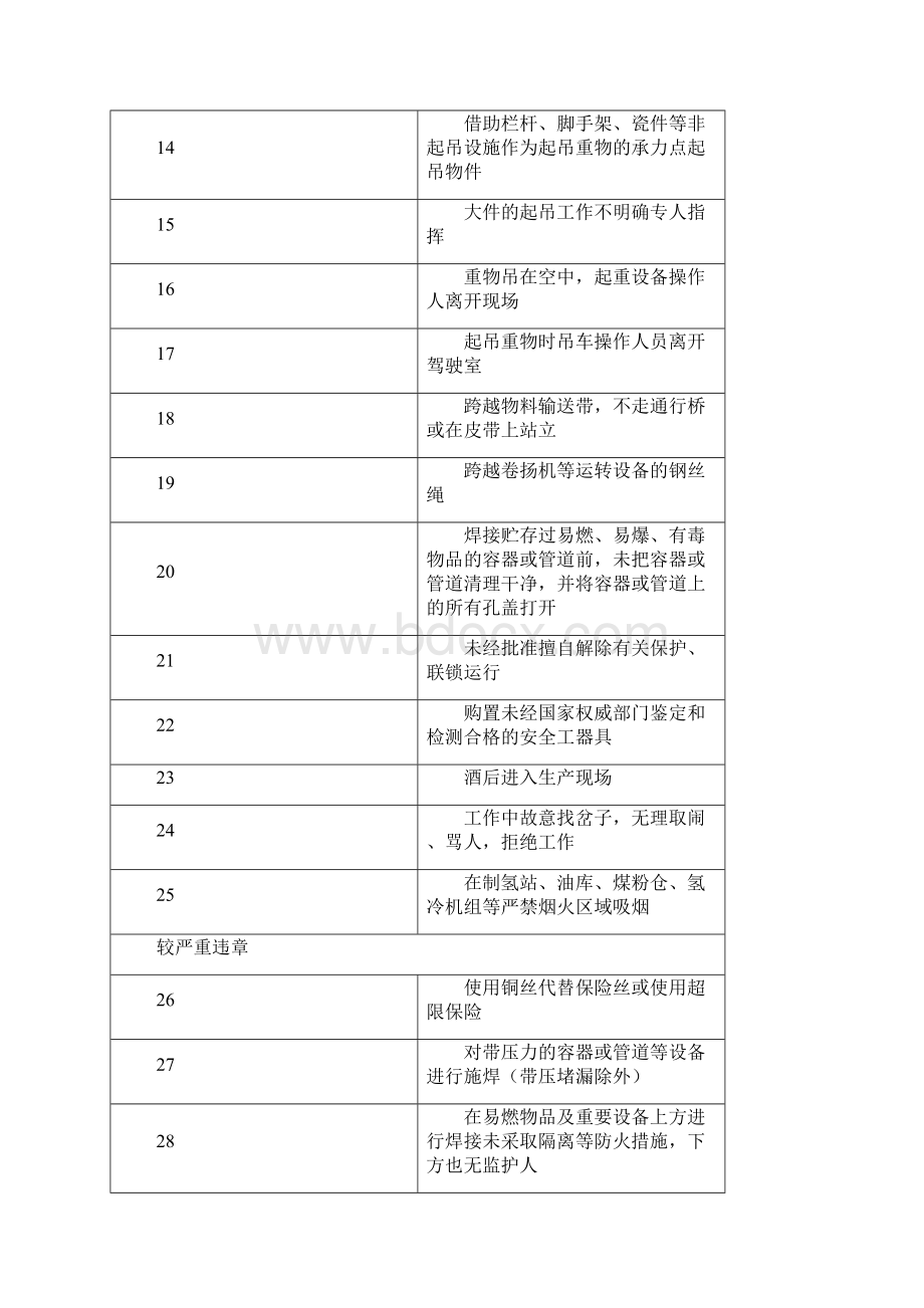 发电厂典型违章界定Word下载.docx_第2页