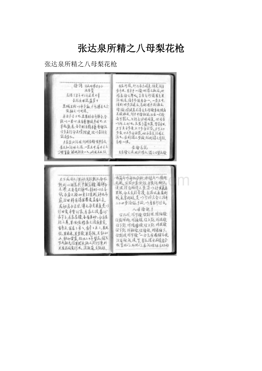 张达泉所精之八母梨花枪Word格式文档下载.docx