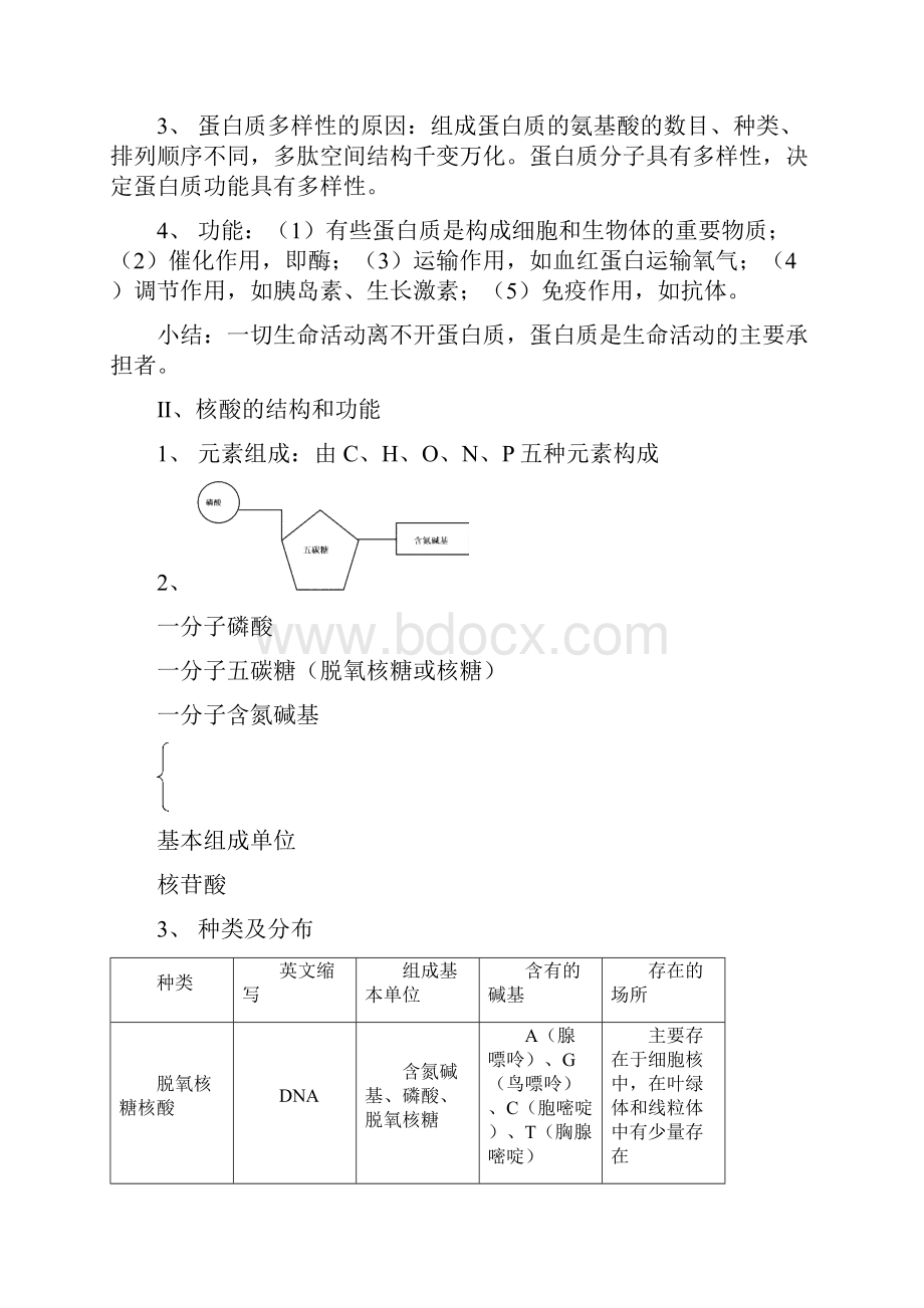 高二生物 知识点总结 新人教版必修1.docx_第2页