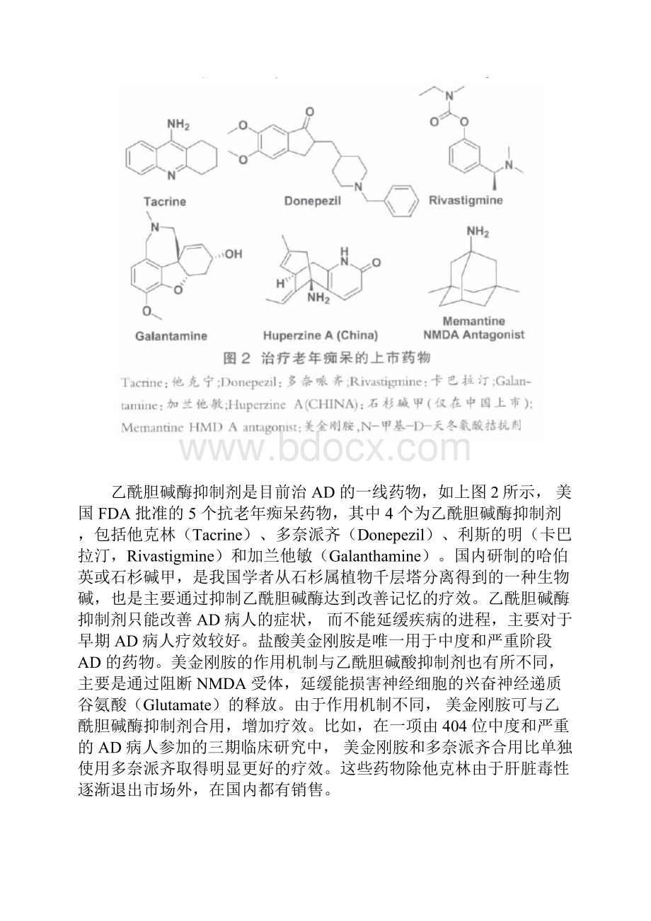 抗老年痴呆药物目前的现状.docx_第3页