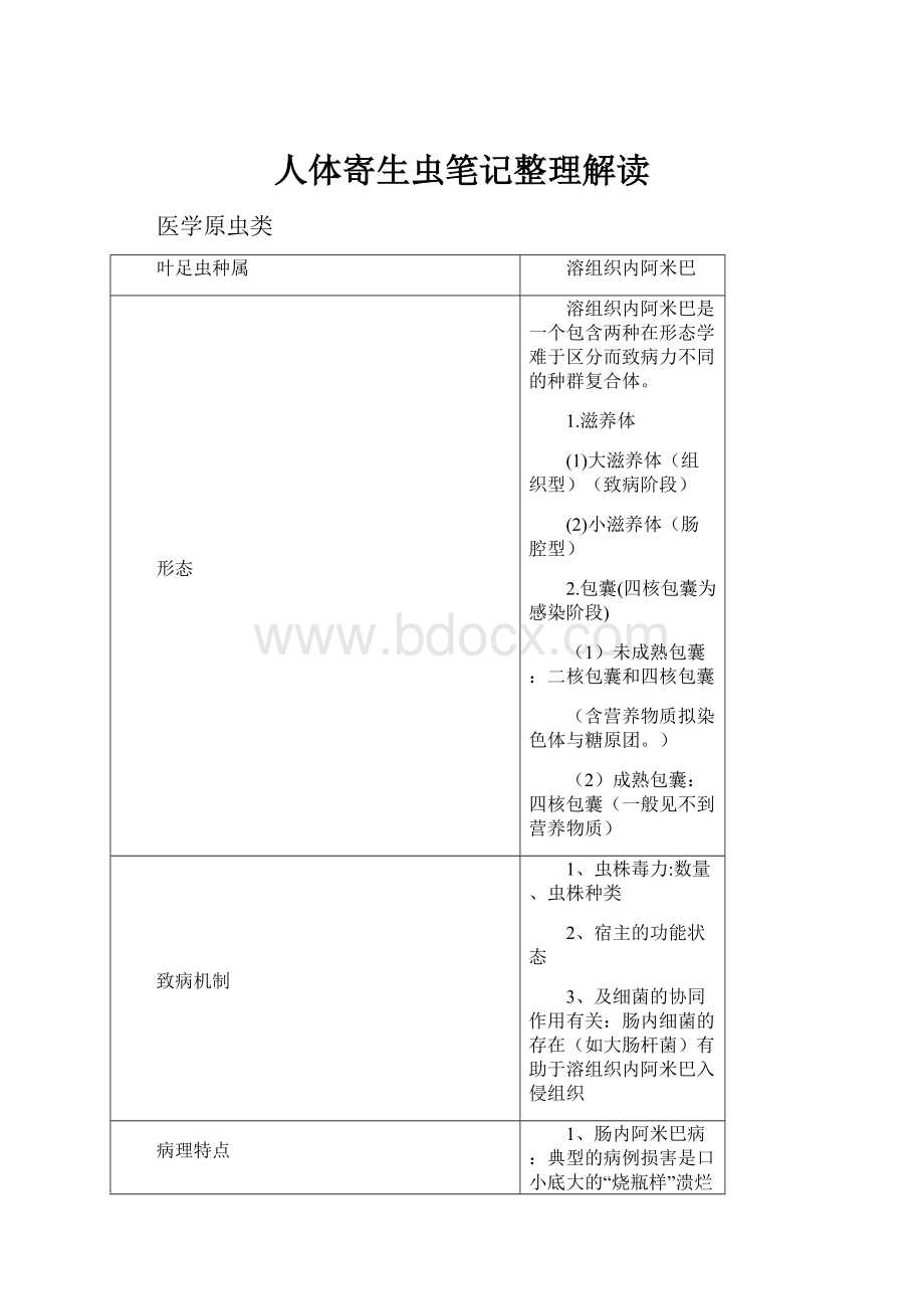 人体寄生虫笔记整理解读Word文档格式.docx