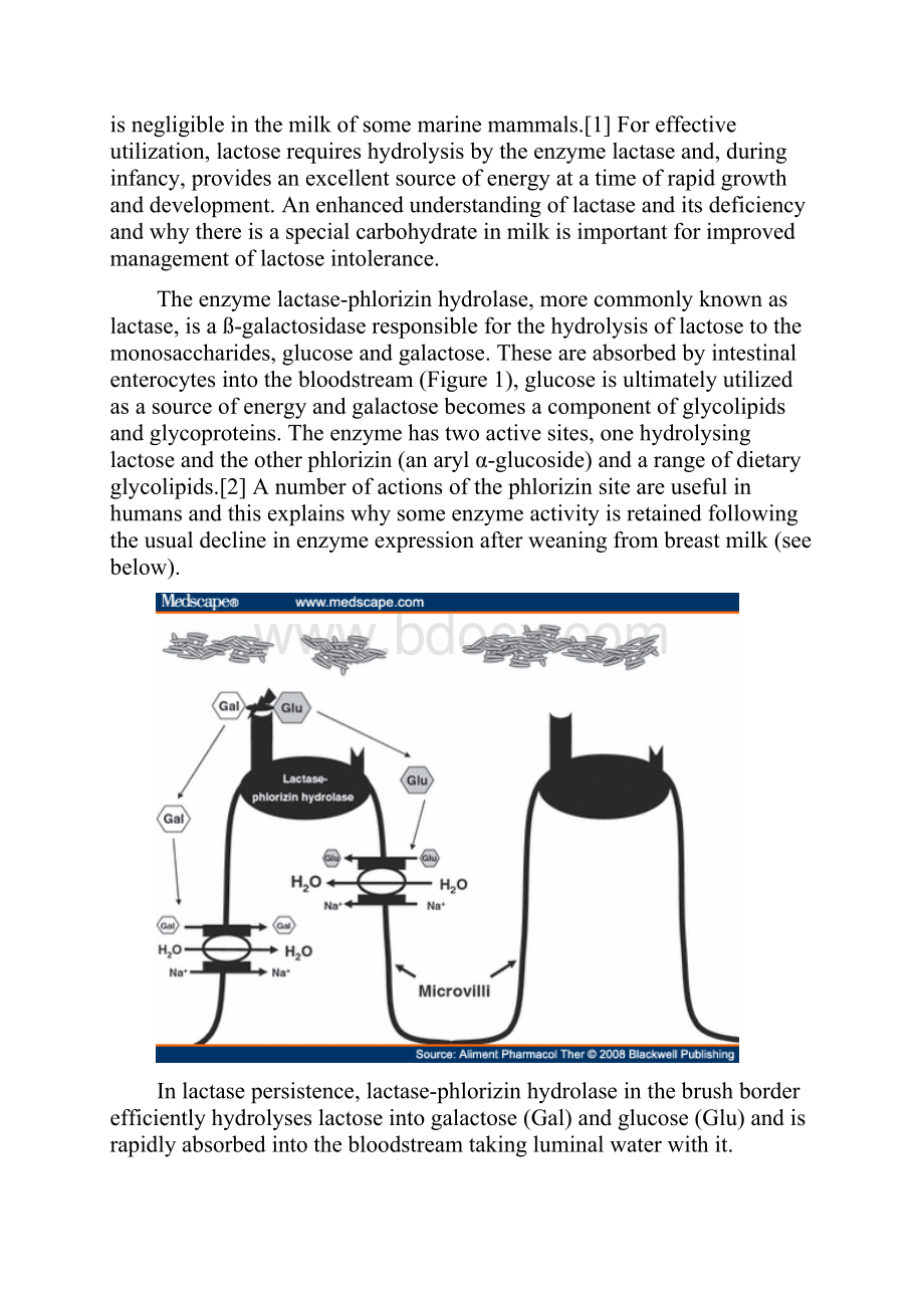 Review Article Lactose.docx_第2页