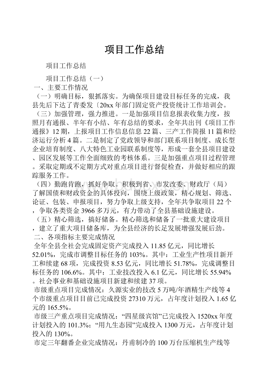 项目工作总结.docx