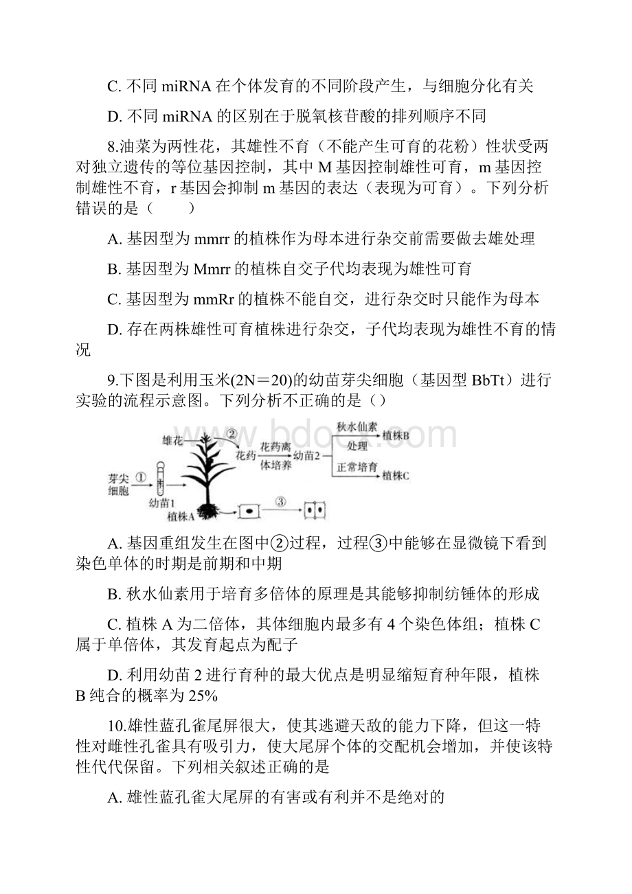 学年高三上期末生物复习卷 17含答案解析Word文档下载推荐.docx_第3页