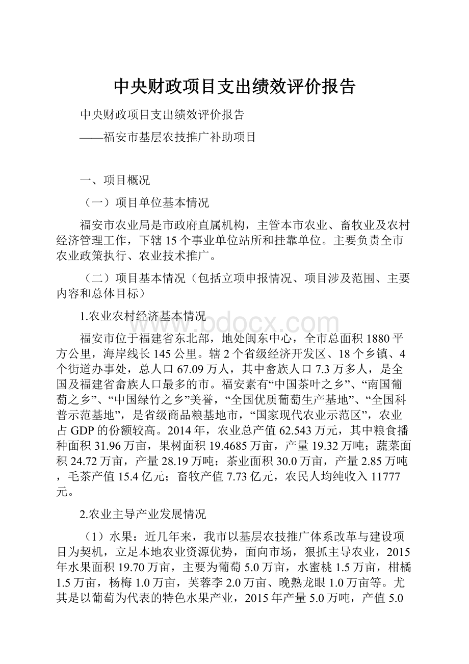 中央财政项目支出绩效评价报告.docx_第1页