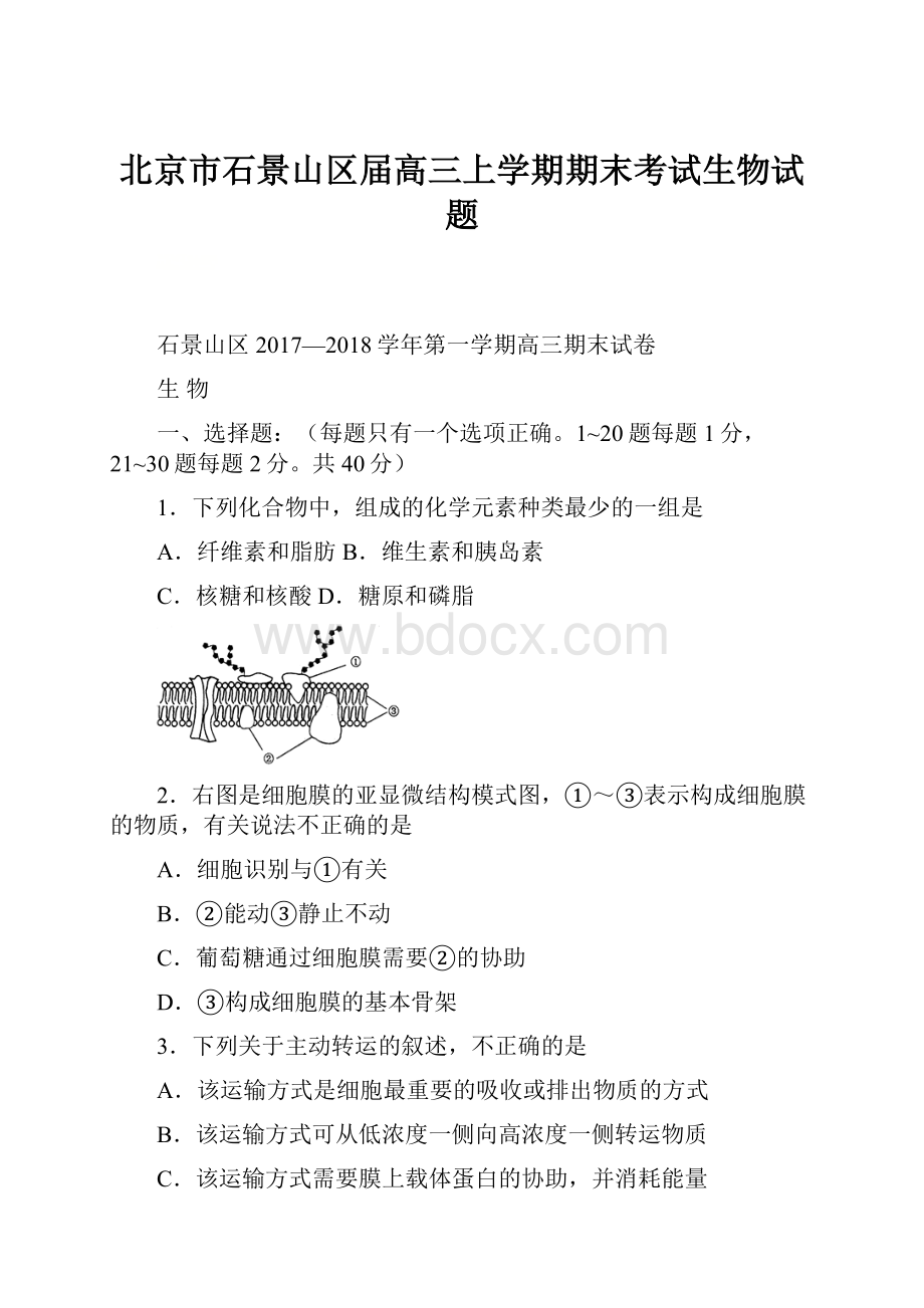 北京市石景山区届高三上学期期末考试生物试题Word文件下载.docx