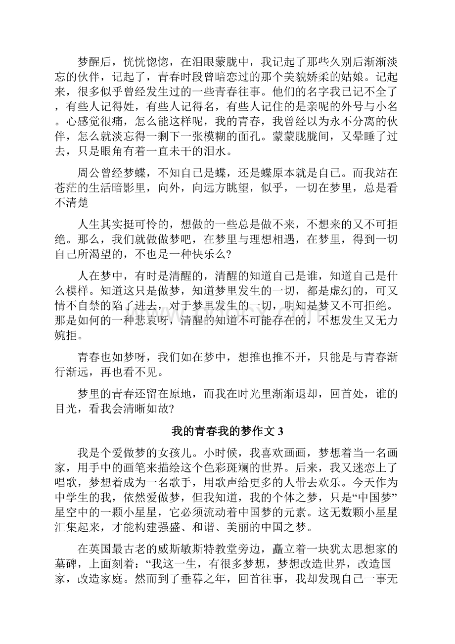 我的青春我的梦作文文档格式.docx_第3页