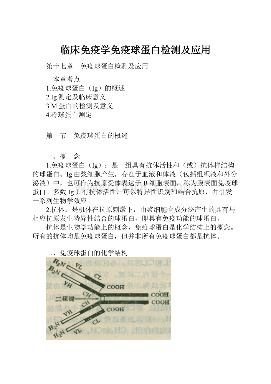 临床免疫学免疫球蛋白检测及应用.docx_第1页