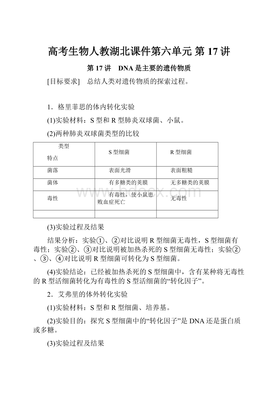高考生物人教湖北课件第六单元 第17讲.docx