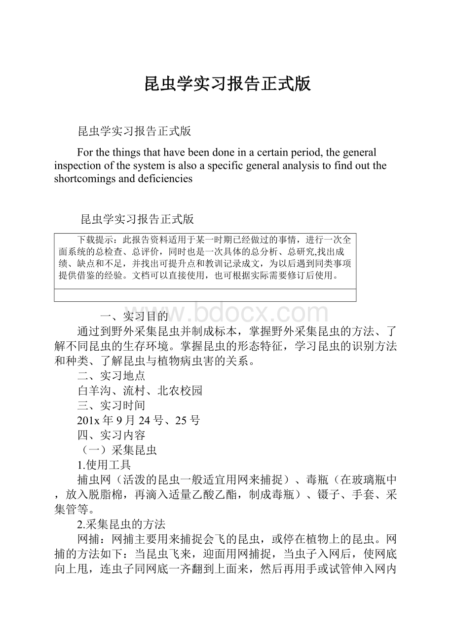 昆虫学实习报告正式版.docx