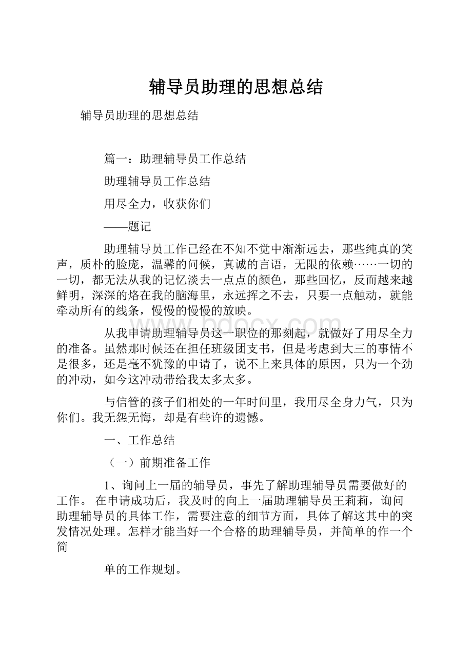 辅导员助理的思想总结Word文档下载推荐.docx