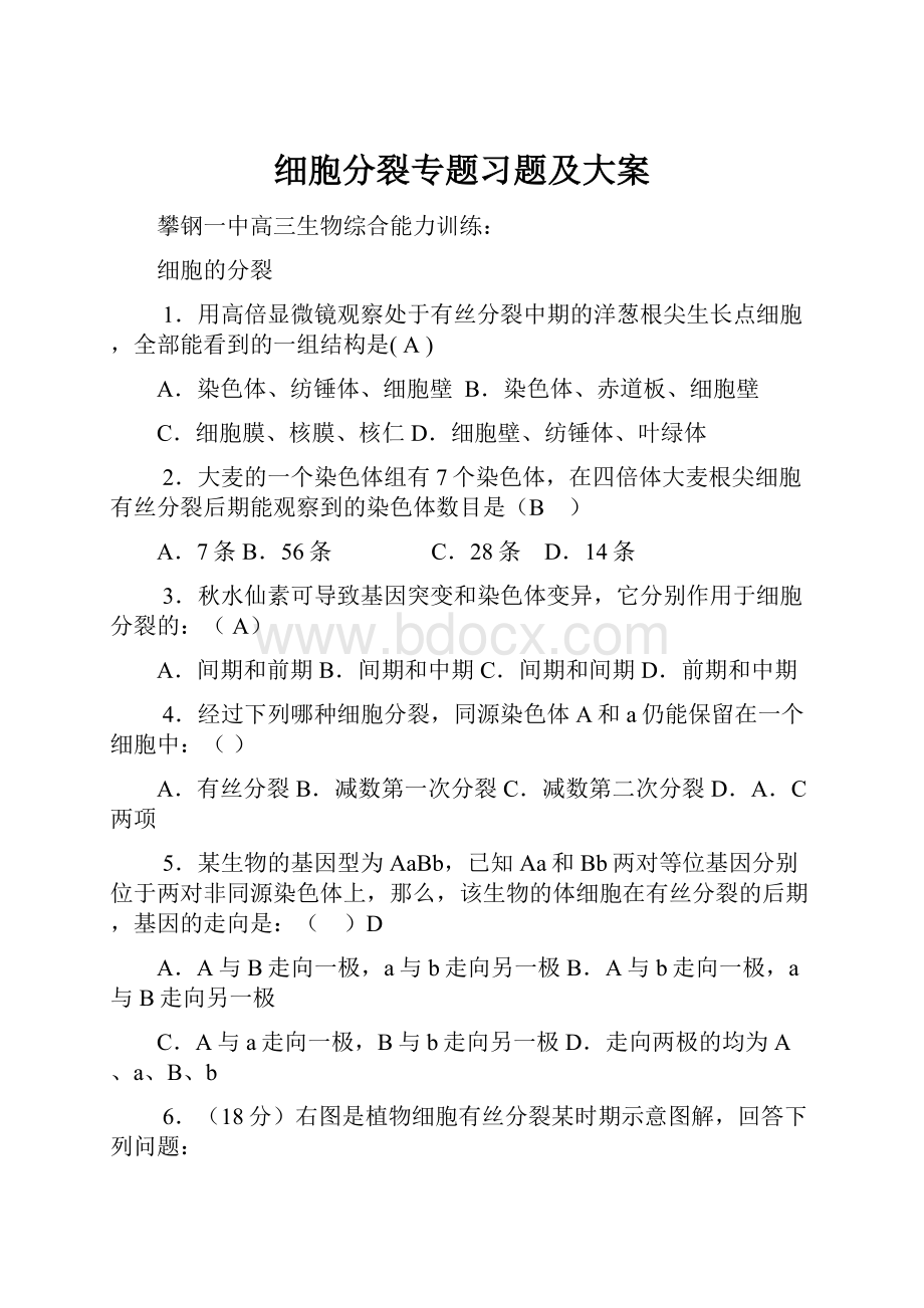 细胞分裂专题习题及大案Word文档格式.docx