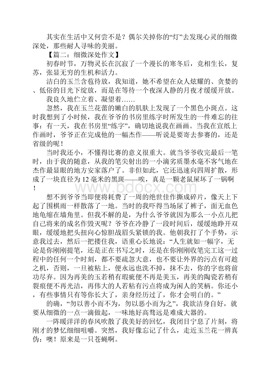 细微深处作文1Word文档下载推荐.docx_第2页