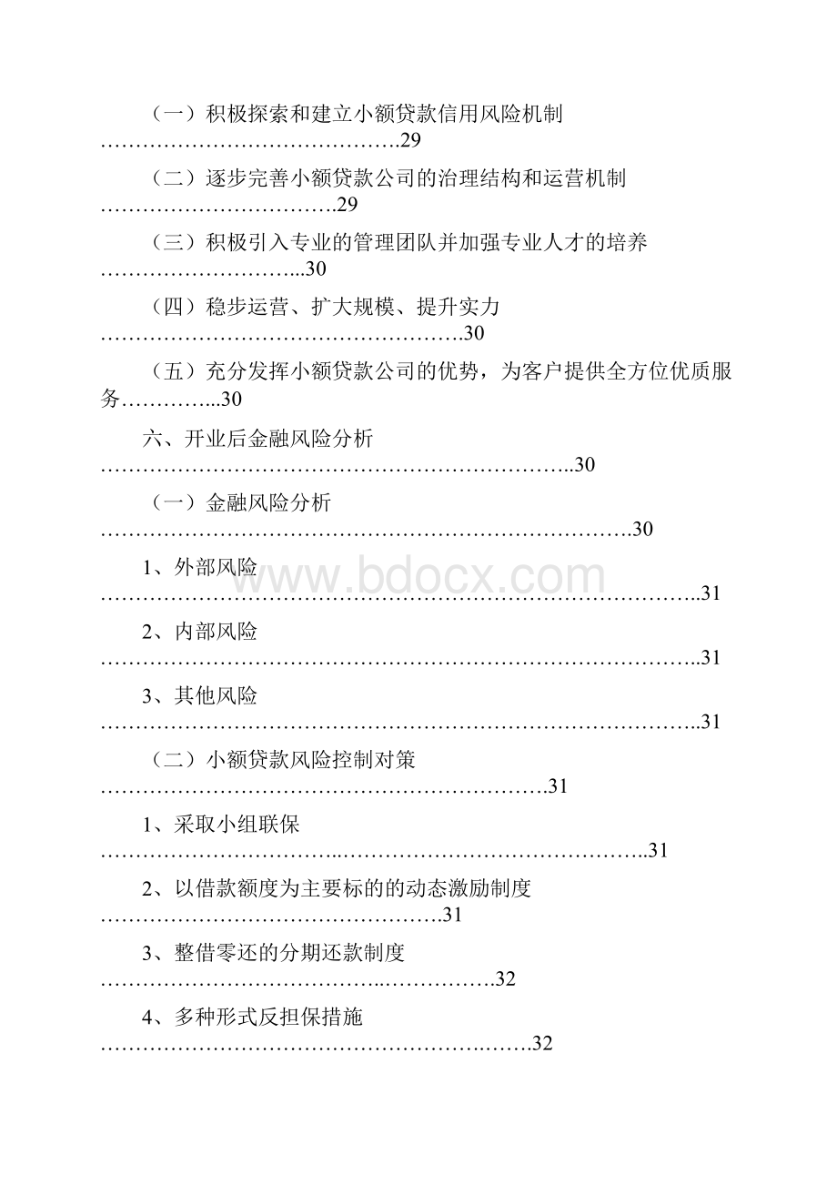 小额贷款可行报告.docx_第2页