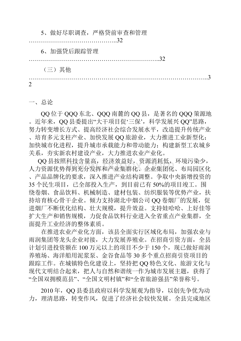 小额贷款可行报告.docx_第3页