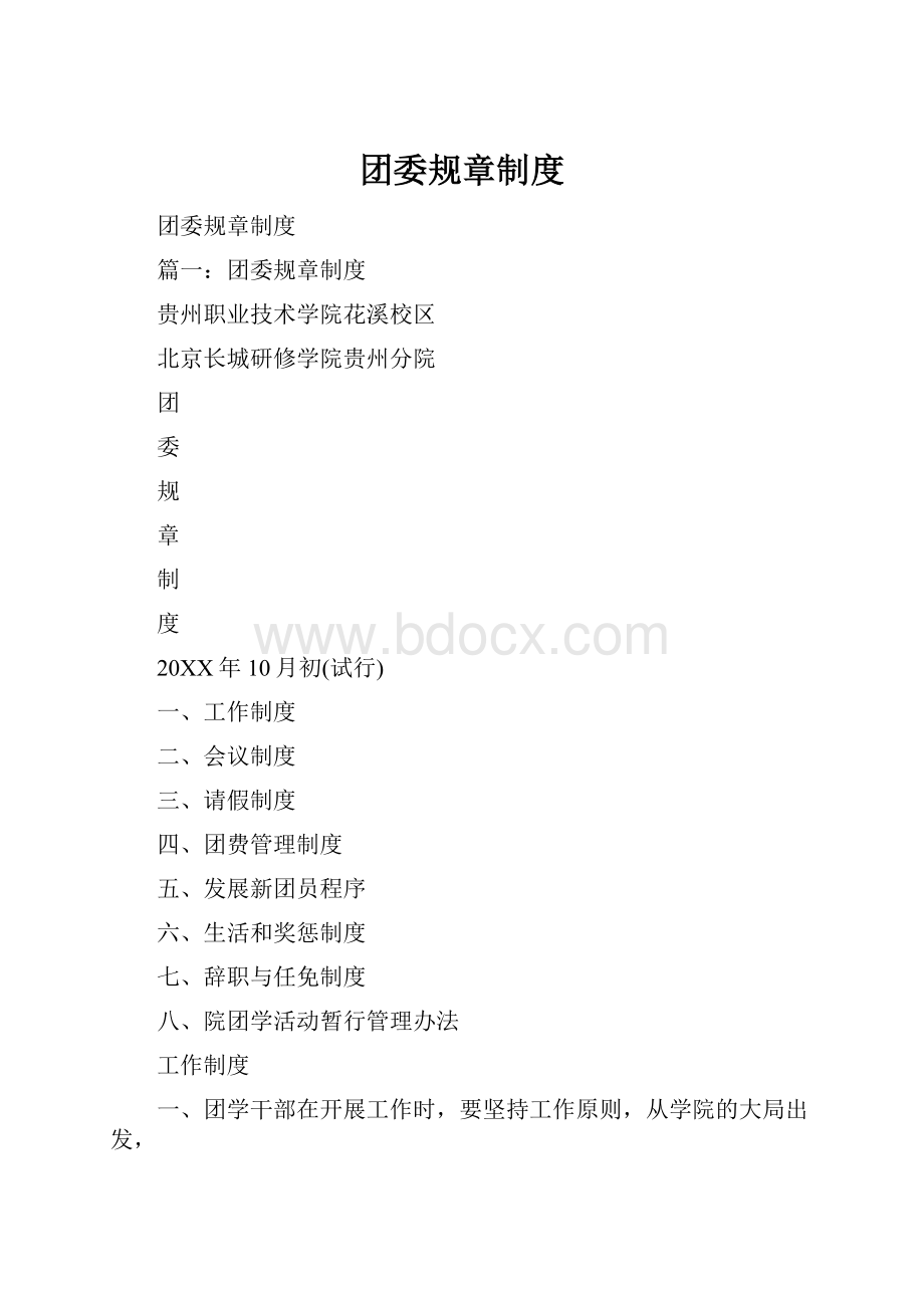 团委规章制度Word格式.docx