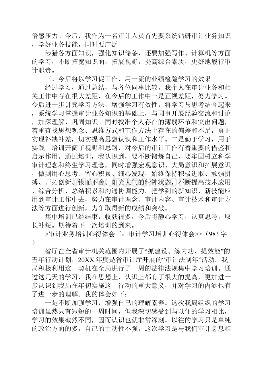 学习审计的心得体会.docx_第3页