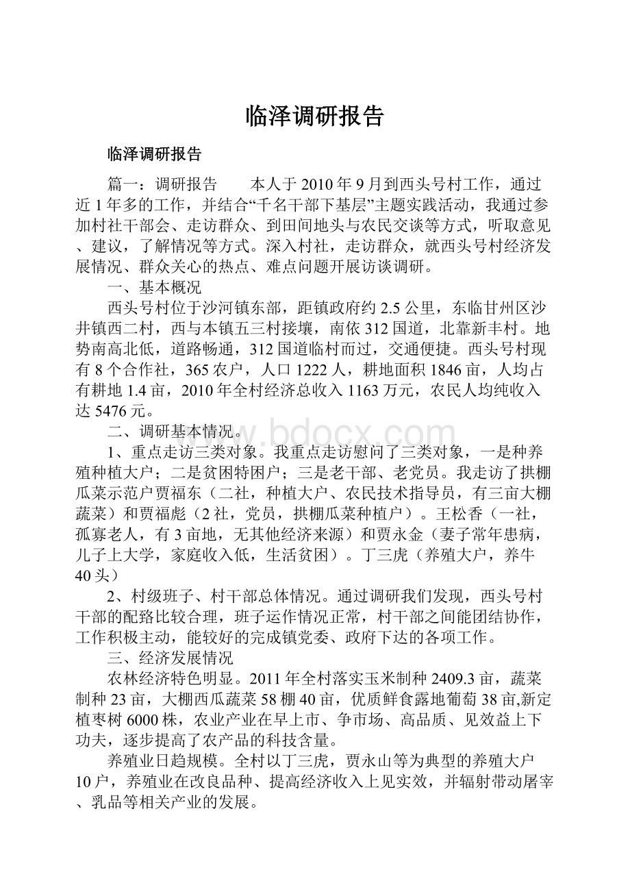 临泽调研报告文档格式.docx