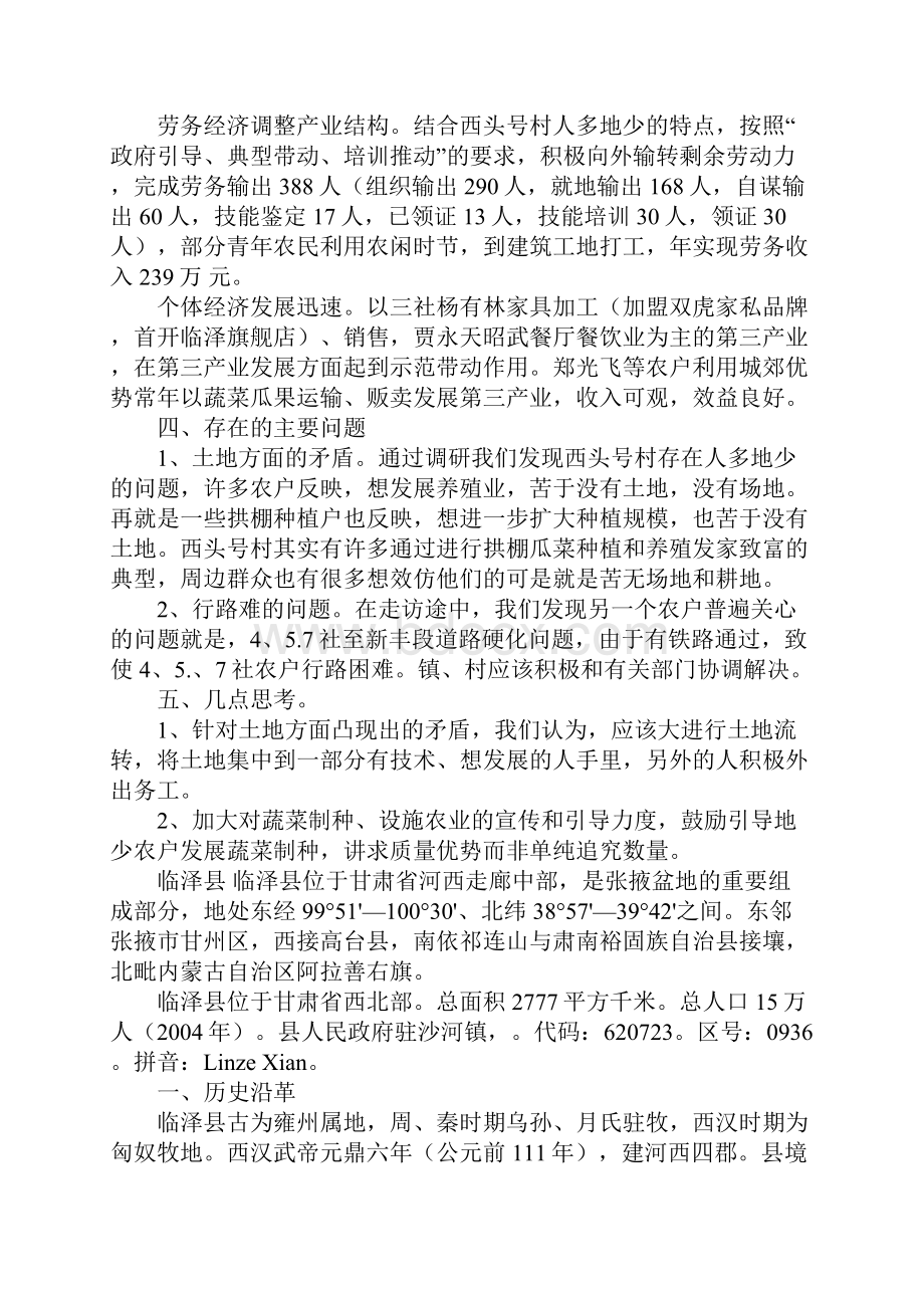 临泽调研报告文档格式.docx_第2页