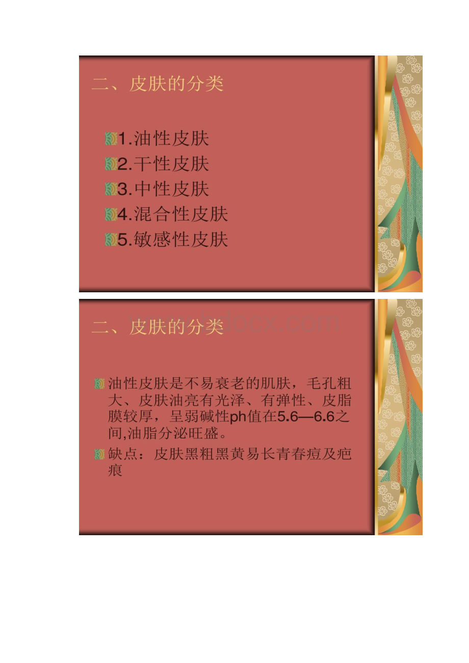 彩妆培训皮肤的分类与类型.docx_第2页