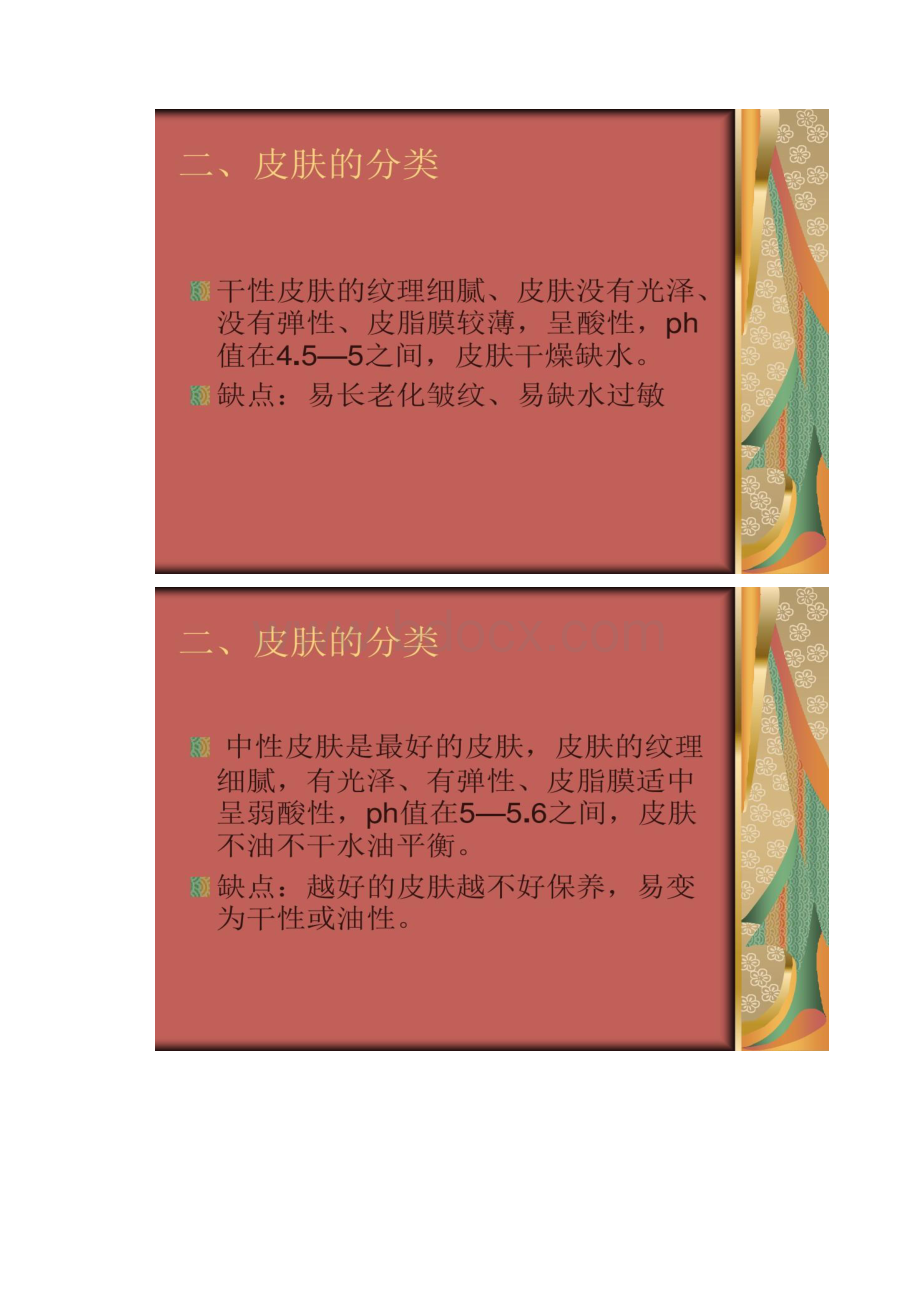 彩妆培训皮肤的分类与类型.docx_第3页